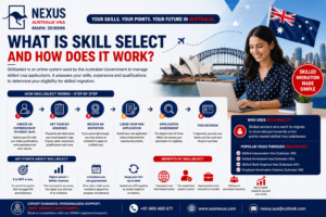 Read more about the article What is Skill Select and how does it work?